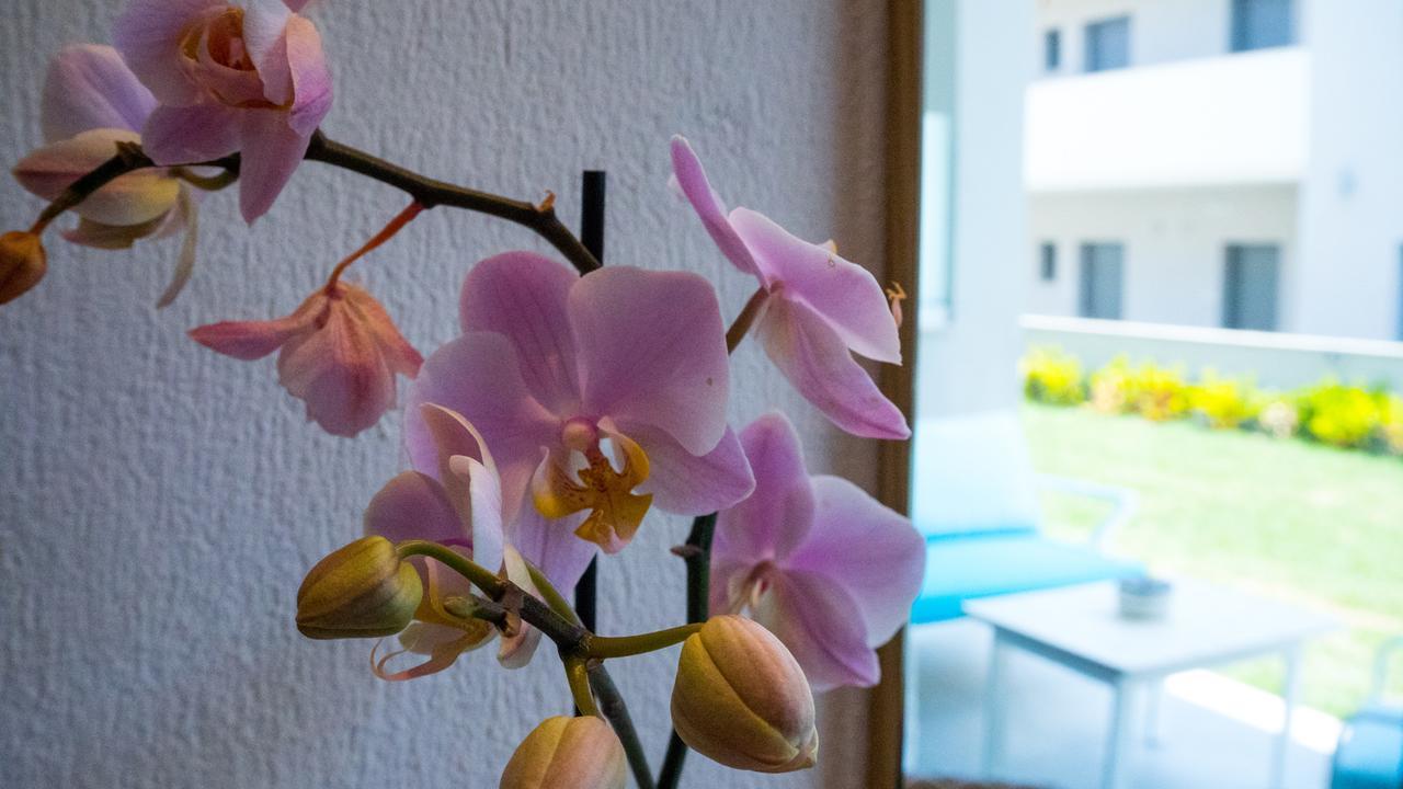 Costa Domus Blue Luxury Apartments Никити Екстериор снимка